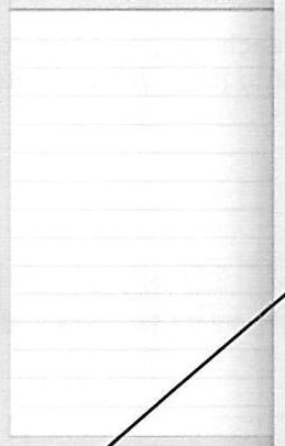 Scanned screenshot, source page 46